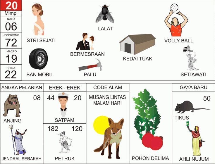 Buku Mimpi Erek Erek 20 Angka Kode Alam