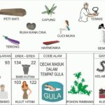 Erek Erek 22 Buku Mimpi dan Angka Kode Alam 2D Bergambar