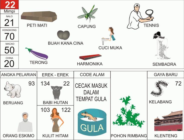 Erek Erek 22 Buku Mimpi dan Angka Kode Alam 2D Bergambar 